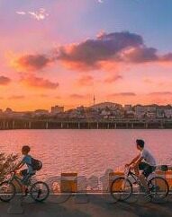 麻豆直播传媒app-堵关注与风险警示，成年人理性网上的行为规范